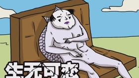 吃屎gdp