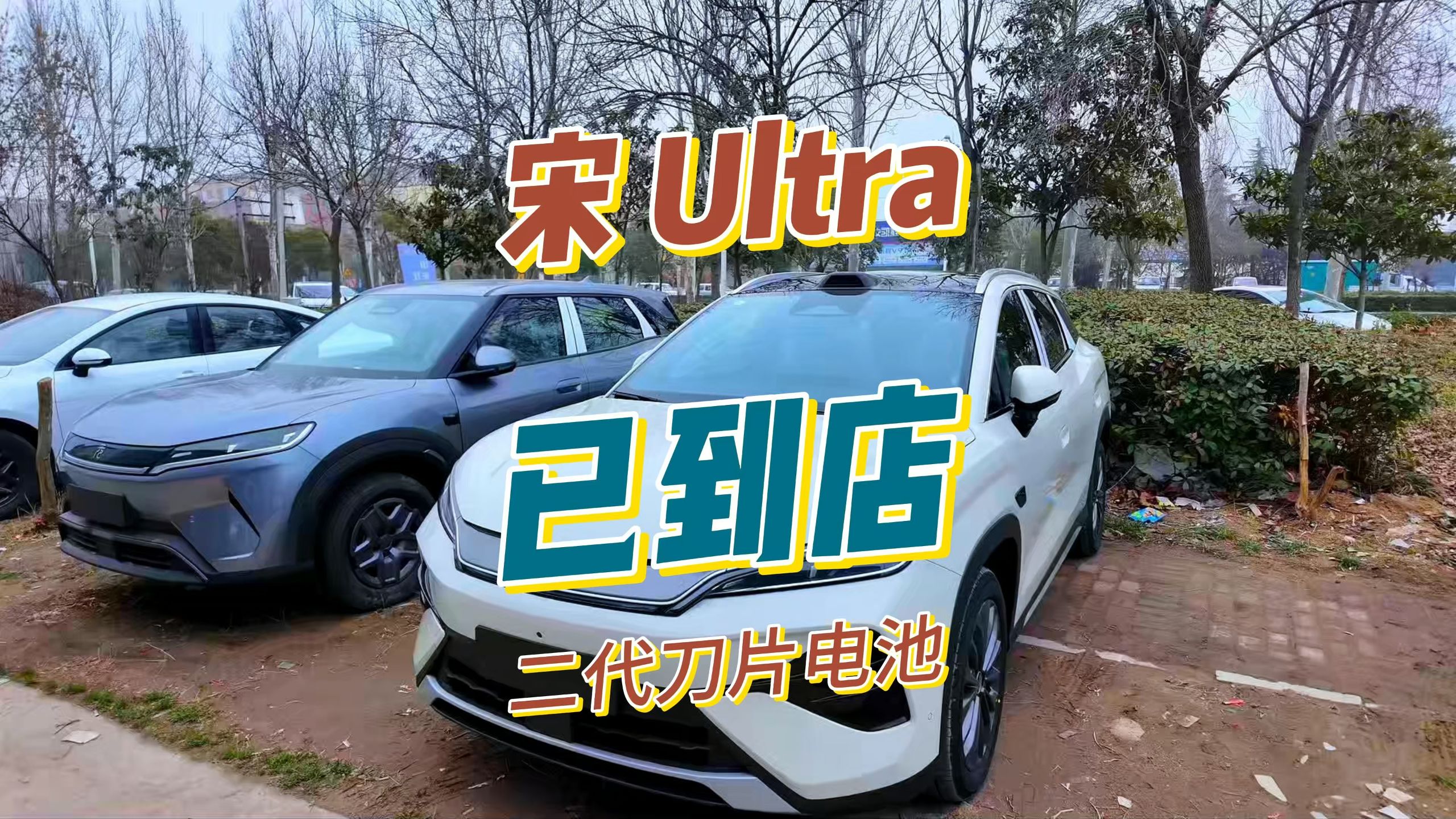 宋Ultra已经到店，你觉得什么价格上市？