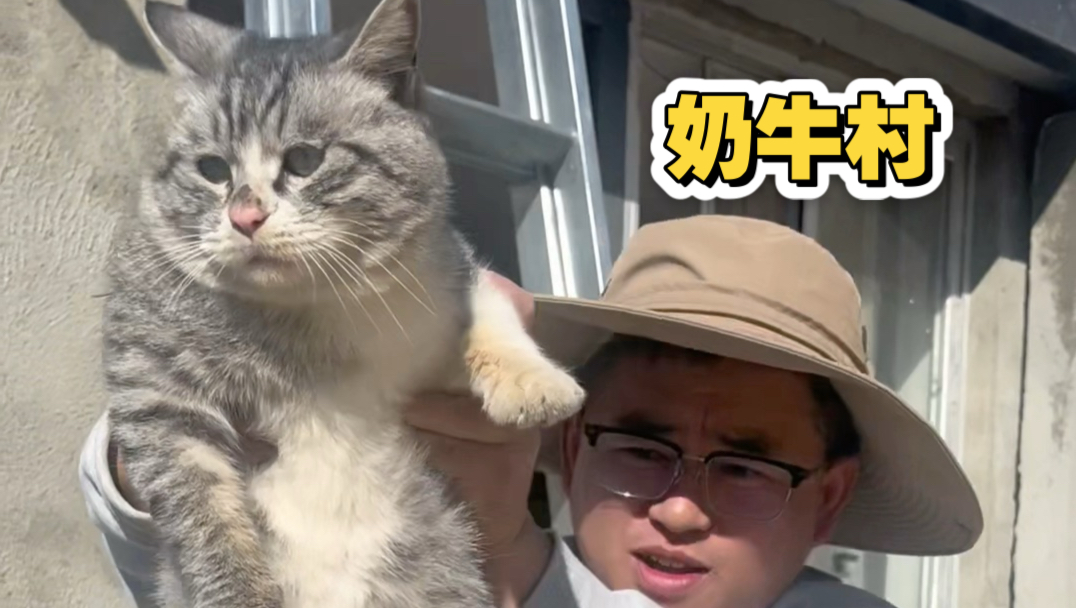 关于我老公回村招猫逗狗儿的日常 莫名其妙的一天
