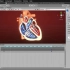 Unity医学展示可视化动画视频教程第一季 RRCG