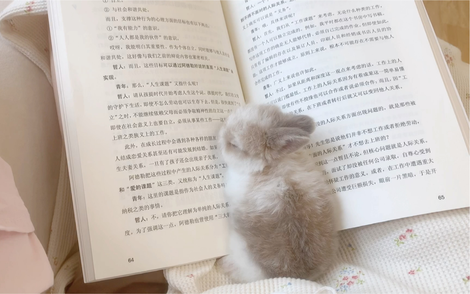 ·垂耳兔· 瘫在你书本里 不许翻页