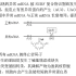 2020浦东生物一模选择题——第20题