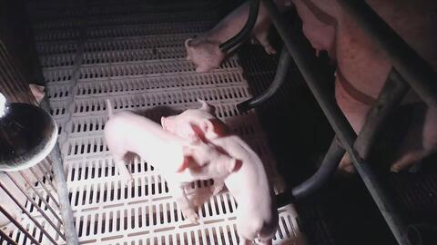 f2b1703032b217dc81f66ff93d911961a7d45a88.jpg@480w_270h_1c