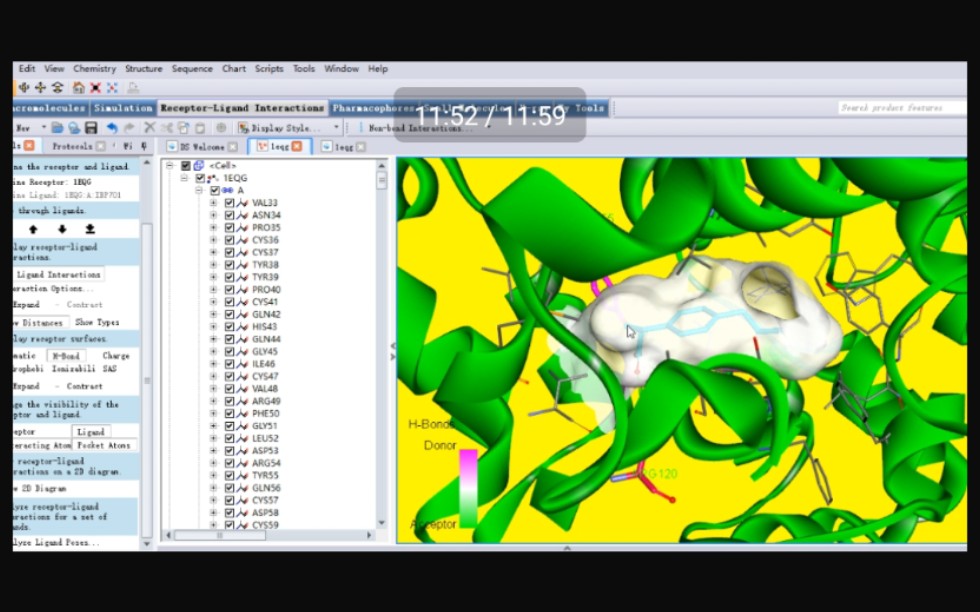 Discovery studio基础操作蛋白质结构观察_哔哩哔哩_bilibili