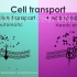 《生物自习室》第4期：细胞转运概述