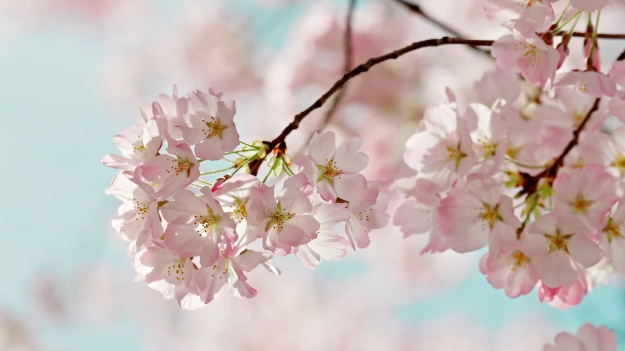 为什么说真正的你什么也失去不了？我们什么都不曾拥有，也不可能真正失去什么！