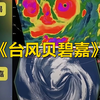 大型《台风贝碧嘉