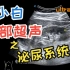 超声小白教程-腹部超声扫查（泌尿系统）