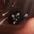 [科普/1080]实在搞不懂日本人，一个卵子受精动画做的这么催泪干嘛？[生命诞生物语]