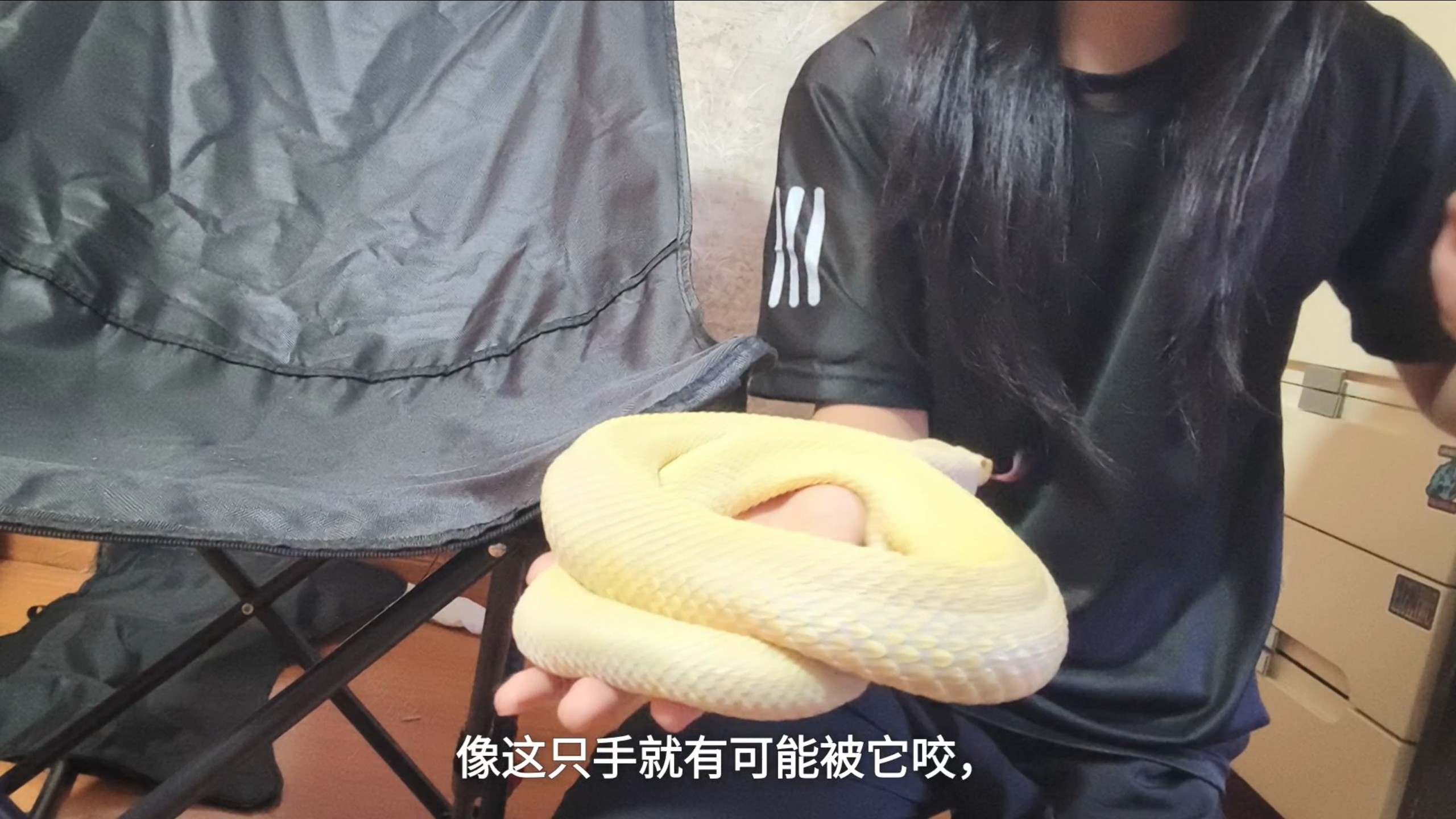 你们要的教程来了，如何养熟一条陌生蛇