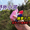 野外河里捡到俩萝卜刀，其中一个坏了不能玩，我用杂草给它修好了