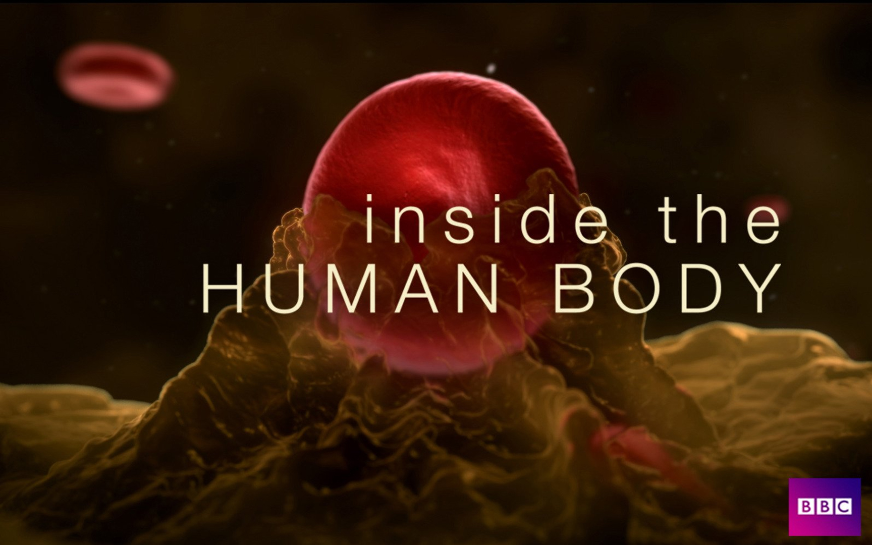 【纪录片】人体奥秘-Inside the Human Body