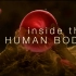 【纪录片】人体奥秘-Inside the Human Body