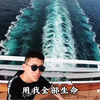 鲤鱼Ace解说