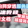 [内网穿透]告别高延迟!手把手教你搭建内网穿透服务器！马上学会！轻松学会