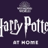 【合集】魔法世界诚邀众星宅家朗读《哈利波特与魔法石》 | Harry Potter at Home | Wizardin