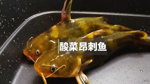 f34a502405523b481527e65d43eb50ed651e8d06.jpg@480w_270h_1c