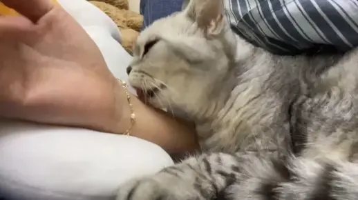 舔妈妈