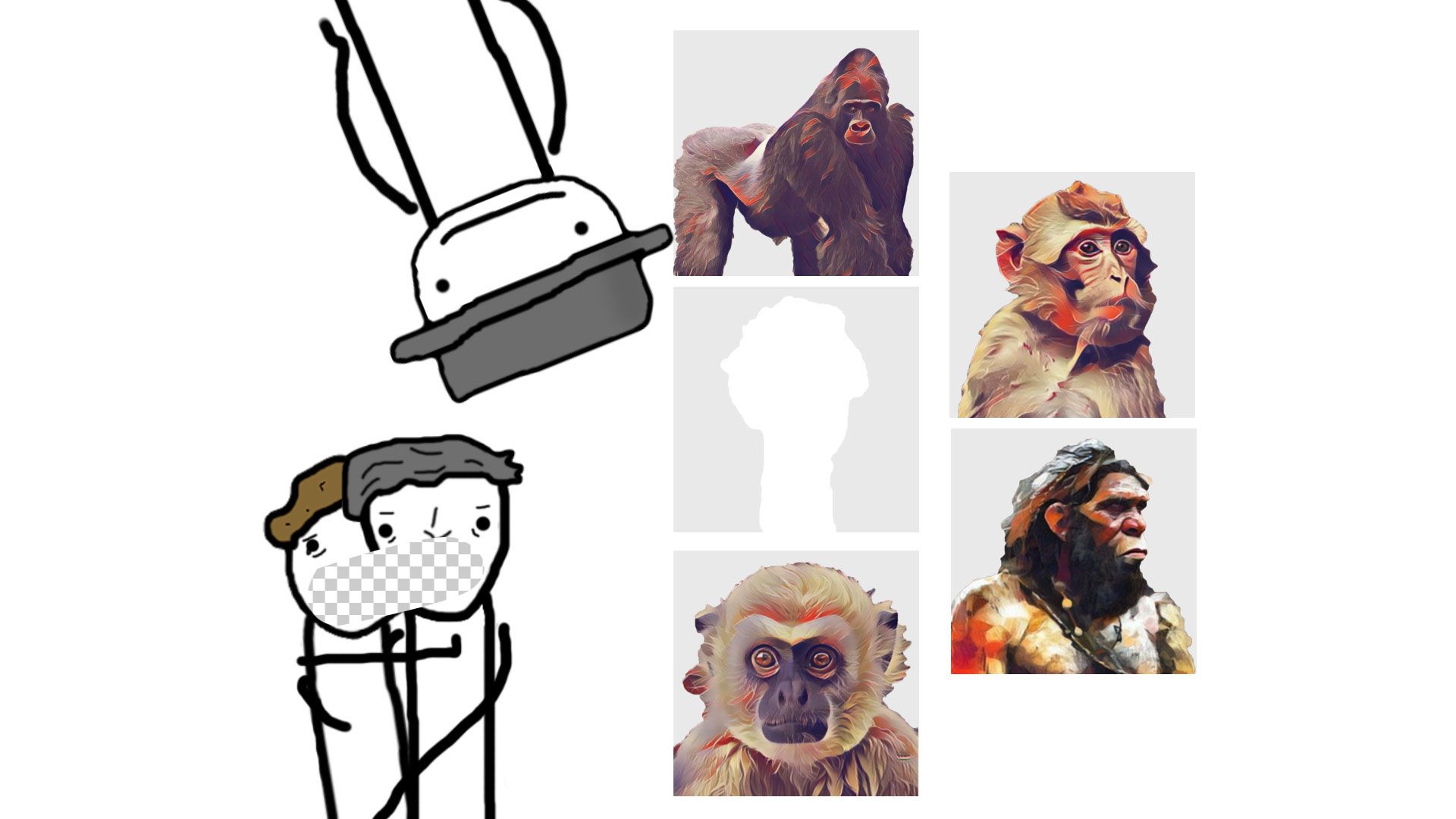 《灵长类性格指标》