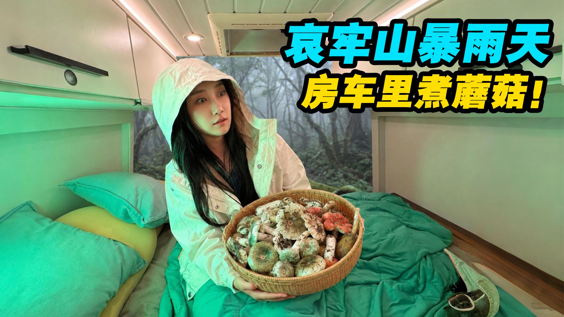 7天穿越哀牢山!千万不要随便采菌子!