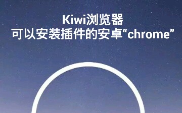 【欢哥TV】Kiwi浏览器——一款可以安装插件的安卓“chrome”