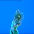 【姜浩芸】傣族舞蹈《雨竹林》 第七届桃李杯中国舞独舞 女子独舞