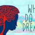 【TED-Ed】为什么我们会做梦－灵魂画师 @柚子木字幕组