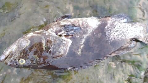 f3a1d8134e0eda876b76cd413f3dcb8c651e2859.jpg@480w_270h_1c