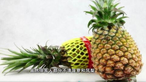 在家怎么削凤梨 f3b5e5c06eca291b3af6ccd2ed66dceb61e99df0.jpg@480w_270h_1c