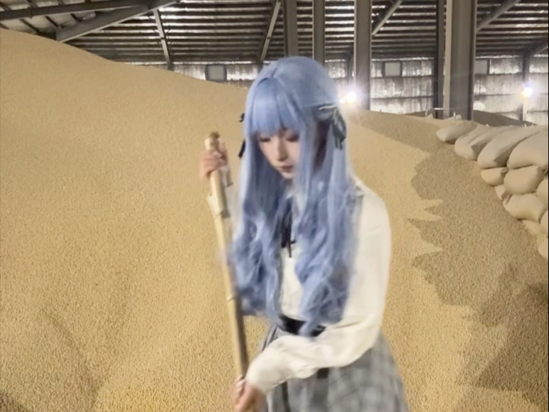 The hen card disbanded Toyokawa Shoko, who came home to sweep soybeans.