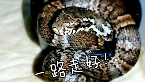 f3bf5b81bc948f0a64c26a55c40e836eee43517b.jpg@480w_270h_1c