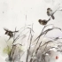 【水墨板绘】鸟杂草和雪