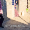 男子娶小老婆不成功，试图偷走家里的羊群私奔，反遭父亲狠狠教训