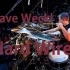 【Dave Weckl】Dave Weckl大师曲