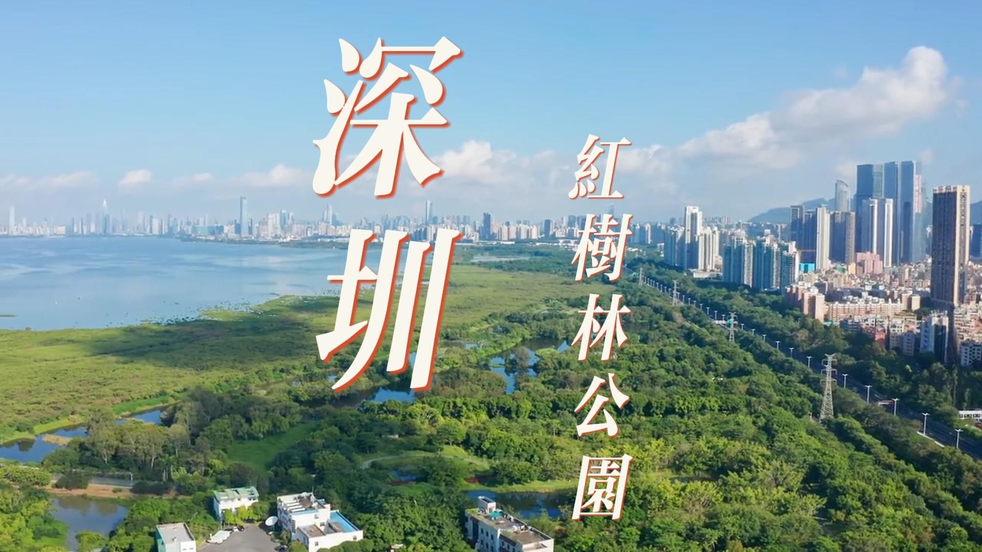 “跟我游湾区”深圳特辑来到第十九站：红树林公园！