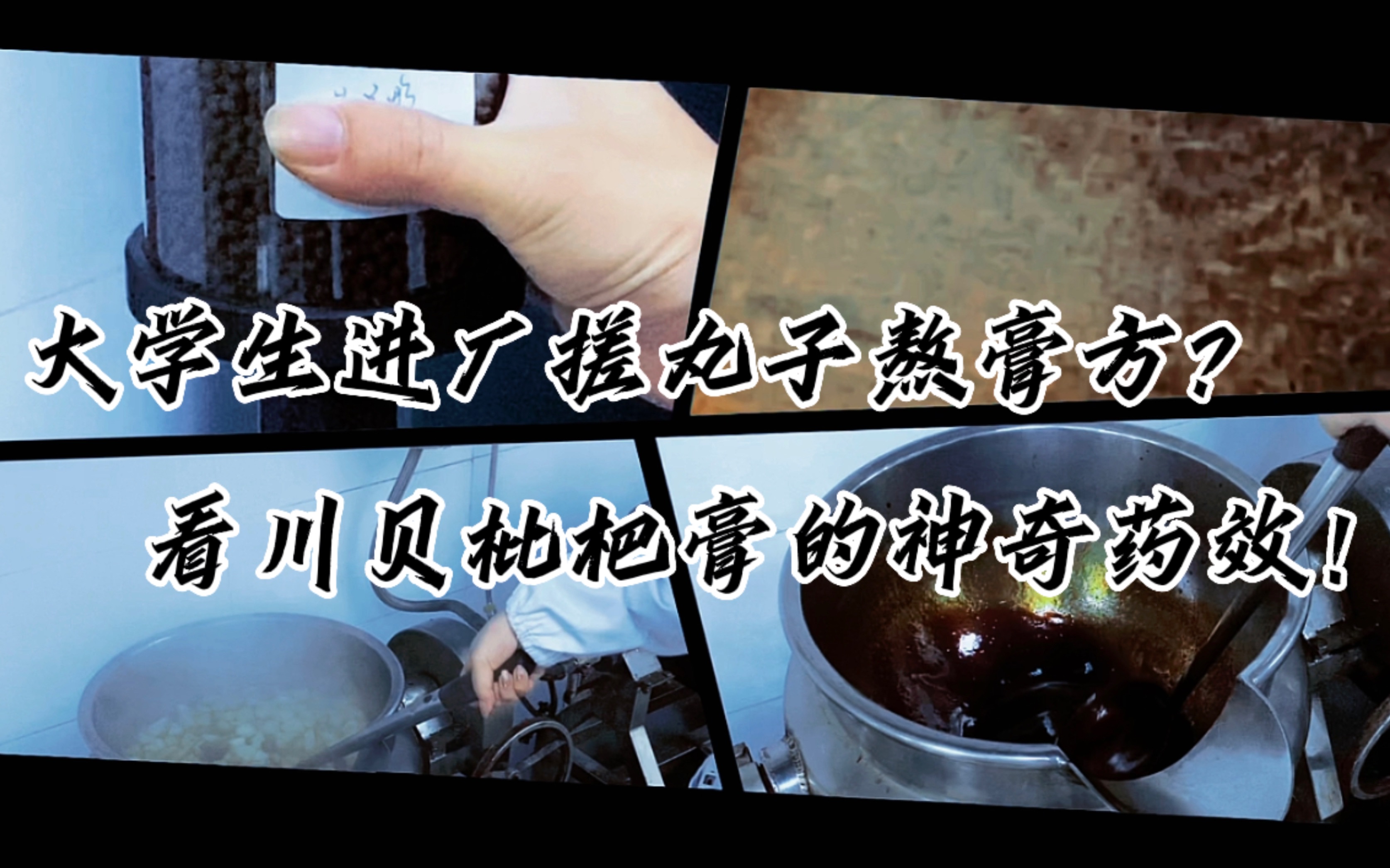 【实用中成药】大学生进厂搓丸子熬膏方?看川贝枇杷膏的神奇药效!哔哩哔哩bilibili