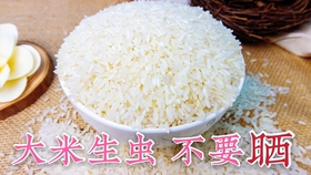 大米怎么储存才不会坏 f42cd31423ac959a1e89753983ce1dd99c93eec4.jpg@280w_158h_1c_100q.jpg