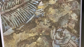 f437883647b0e9de8c181e62d86f43f29cbdcc18.jpg@280w_158h_1c_100q.jpg