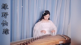 绿野仙踪双手古筝曲谱_古筝绿野仙踪曲谱(2)