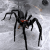 Feeding  Spiders 4 | Harmonicon, Trechona, Linothele and more