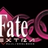 【Fate: Extra CCC】无铭线实况初体验06：这，这就是福利吗？？