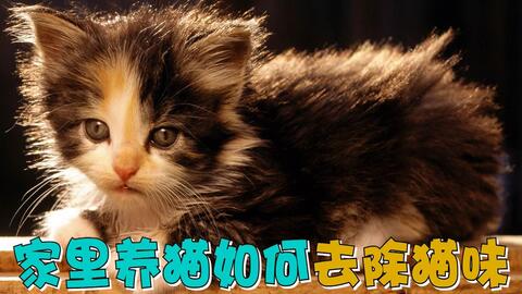 f4813f71c9e7de3bcb6a4362acd3ec8115f1af75.jpg@480w_270h_1c
