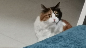 f486f00d1e5bd6a7d5292e74a877a75fcfde4e41.jpg@280w_158h_1c_100q.jpg
