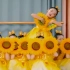 【少儿舞蹈】少儿中国舞舞蹈分享|花儿朵朵向太阳
