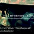 德国军歌MV---Westerwaldlied