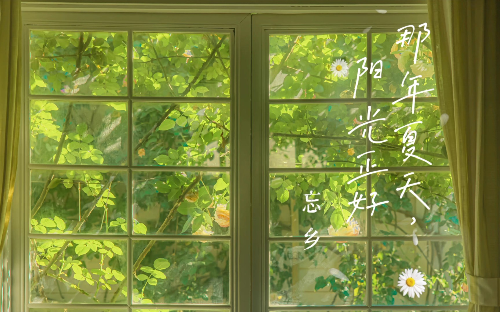 日推歌曲 | 纯音乐《那年夏天,阳光正好》 你也有怀念那年夏天吗? 治愈温柔系~-好想喝一口奶昔啊-好想喝一口奶昔啊-哔哩哔哩视频