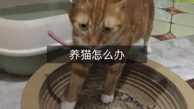 f4e4fb0834e44a5fae39c6df9765bd70c5288018.jpg@280w_158h_1c_100q.jpg