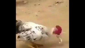 f4e7f2efa4516d81e453241e21ed0502f3d789e1.jpg@280w_158h_1c_100q.jpg
