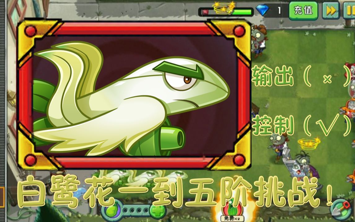 煮钰白鹭花战机一到五阶挑战不错的控制植物败笔在攻速