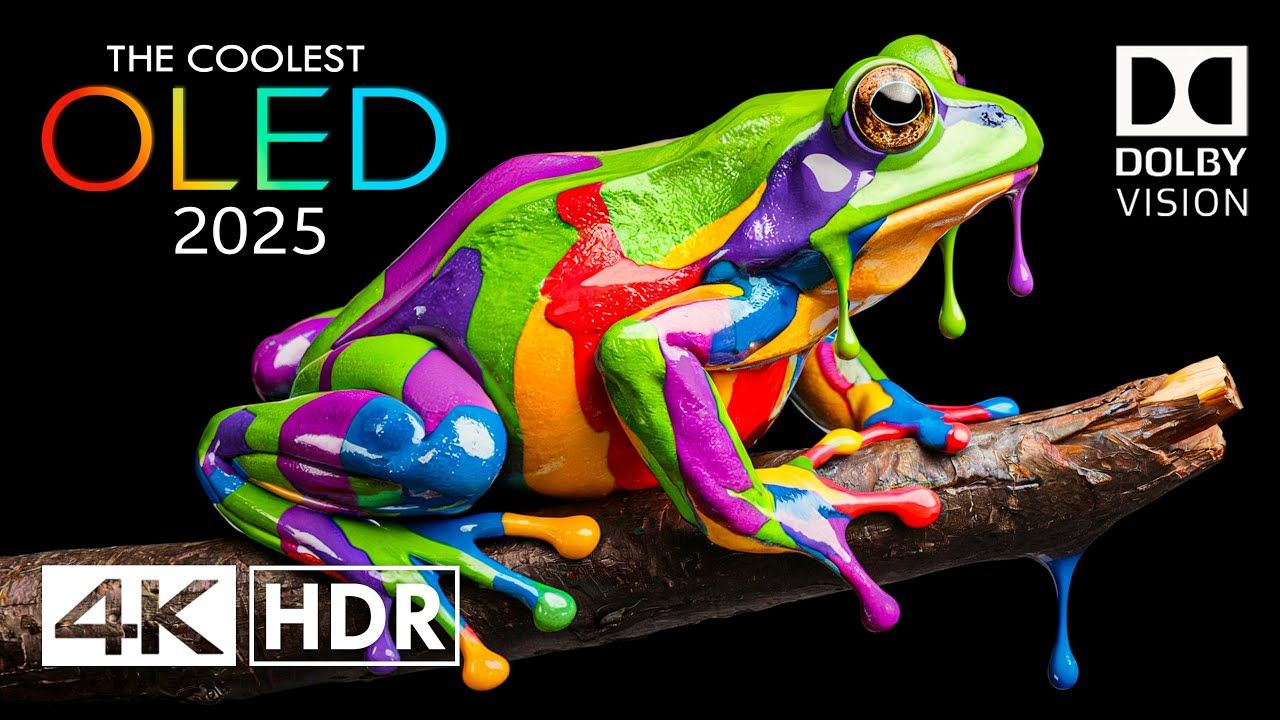 真正的 4K HDR 120 FPS 杜比视界 - 4K 视频超高清